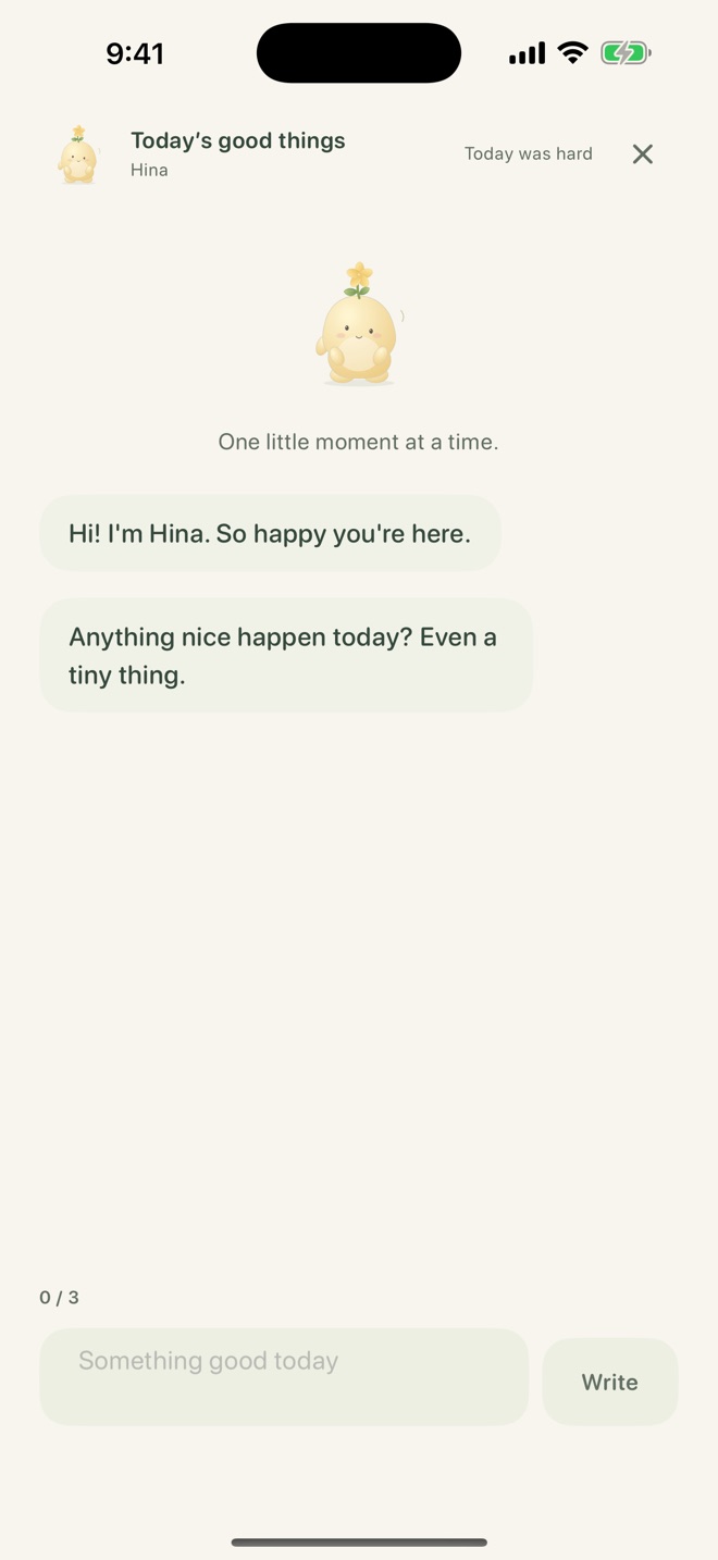 Chat screen. Hina says: Hi! I'm Hina. So happy you're here. Anything nice happen today? Even a tiny thing.